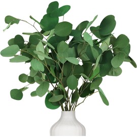 Preserved Dried Eucalyptus Stems, 7-10 Pcs Pure Natural Real Silver Dollar Leaves for Vase Filler, 15-17'' Fresh Eucalyptus Plant Branches for Wedding Home Greenery Décor (3.6oz)