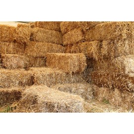 YongFoto Vinyl Photo Background Landscape Livestock Dry Rice Texture Straw Hay Bale Cube Photography Background for Photo Booth Party Photo Studio Props 1.5 x 1 m