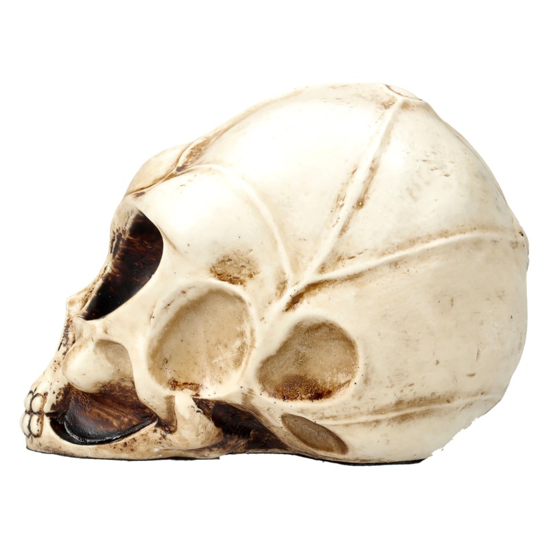 Figuren Shop GmbH Alien Skull Figure - Extraterrestrial Visitor, 8.5