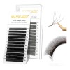 Masscaku Extensiones De Pestañas 5d W Shape 8-15mm Mix 0.07d
