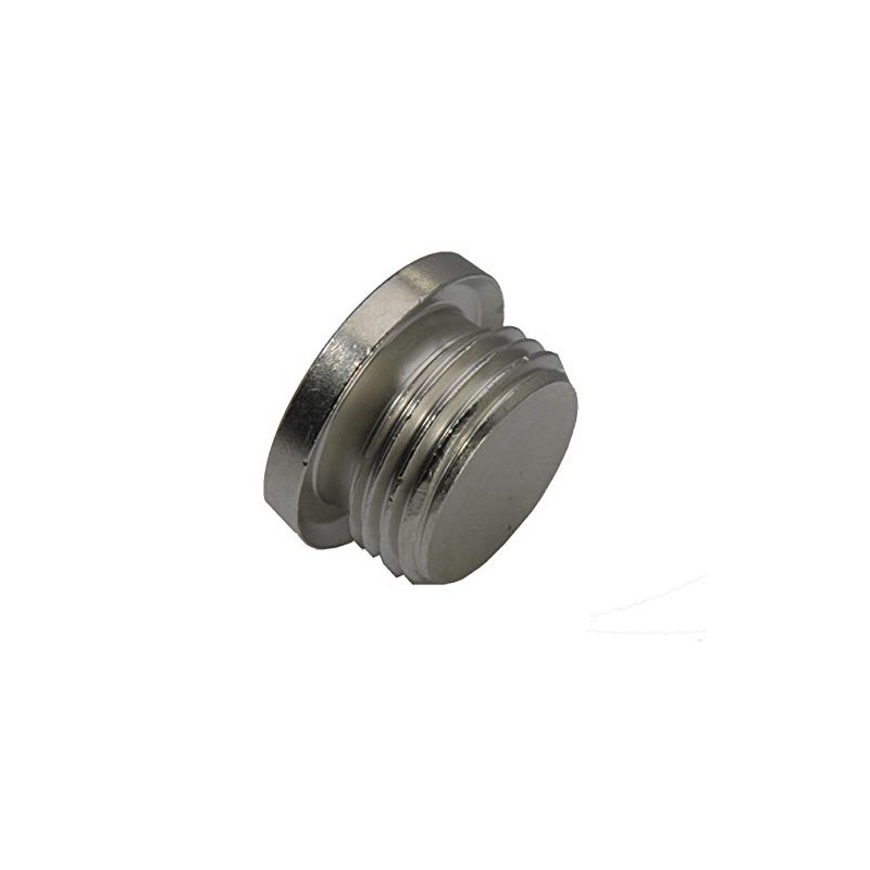 Sealing plug with hexagon socket and cylindrical thread G 1/4