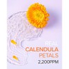 Mary&May [Mary&May]*mini* Calendula Peptide Ageless Sleeping Mask 30g