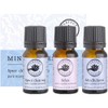 Perfect Potion Essential Oil Blend KIT Mindfulness