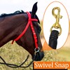 Kabahorze Horse Rein with Snaps, 1/2" Diameter x 10 FT,