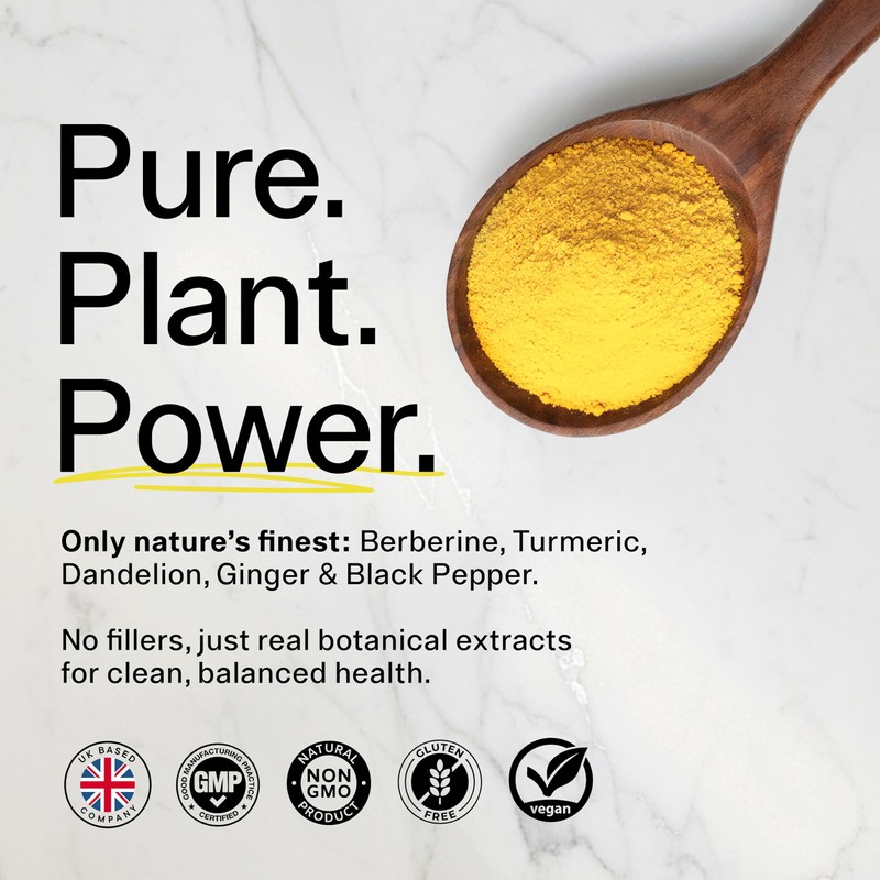 Sacred Summit Berberine Detox Complex 500 mg – with Turmeric