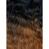 3S HAVANA MAMBO BOX BRAID 12" (T1B/30) - Janet Collection