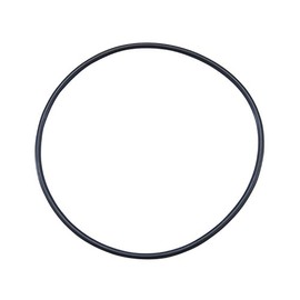 Yukon Gear & Axle (YMS248) O-Ring for Ford 9 Differential
