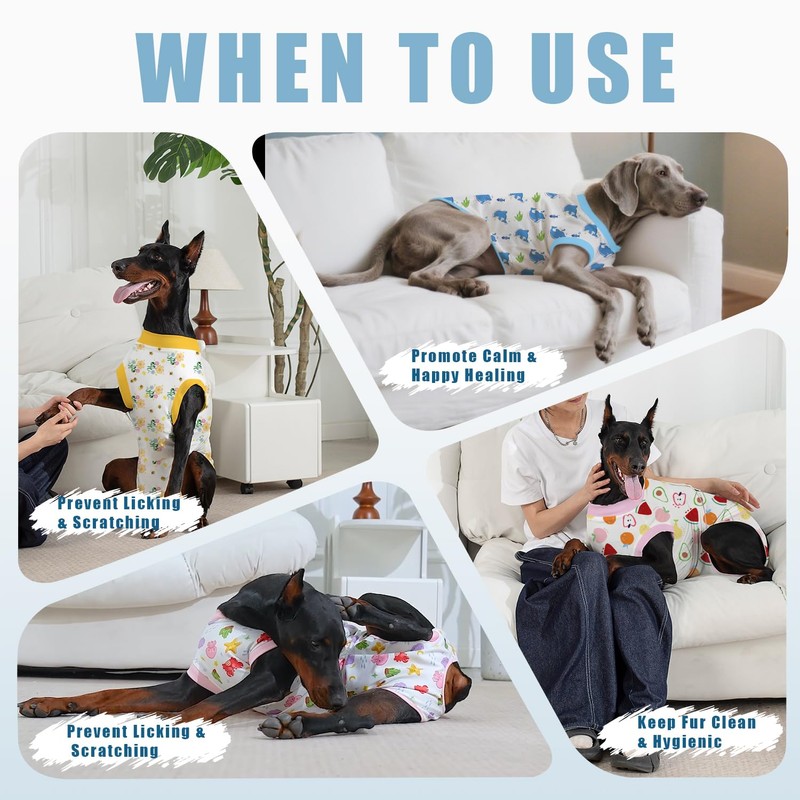 Abuandi Traje de recuperación para Perro, Talla XS HT