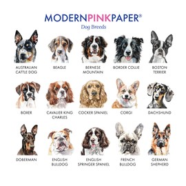 Doberman Stationary Set For Writing Letters, Choose Your Dog Breed, FLAT Notecards with Dogs, Doberman Pinscher Gifts for Animal Lovers, Watercolor Stationery Cards, Your Choice of Color and Quantity