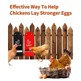 Chicken Oyster Shell Feeder and Grit Feeder Metal Chicken Feeder Chicken coop Accessories Automatic Chicken Feeder