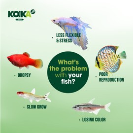 KOIKA BAC+ Powder probiotics, Pleasant Smell, Higher Probiotic, Immunity Boosting, Disease Resistance (BAC+(Powder), 2.82 oz)