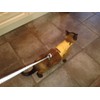 Mynwood Cat Jacket/Harness Caramel Kitten up to 8 month