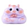 Cute Hamster Taba Squishy for Adults – Stress Relief, Soft