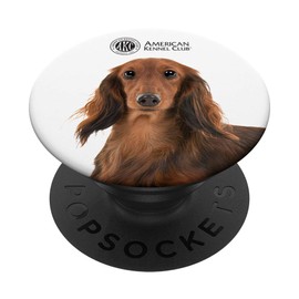 AKC Longhaired Dachshund Photo PopSocket