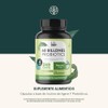LIFE 360 Probióticos 60 Billones 4 Cepas 240 cápsulas 540mg