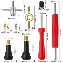 saerryor 73 Pcs Car Bike Tyre Valve Repair Kit,Includes Valve Core Remover Tool, Valve Stem Cores Valve Core Replacement Set for Car Motorcycle Bicycle