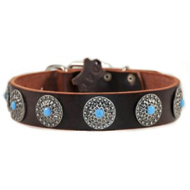 Dean and Tyler "QUEENIE", Dog Collar with Blue Stones and Solid Nickel Hardware - Brown - Size 28-Inch by 1-1/2-Inch - Fits Neck 26-Inch to 30-Inch