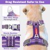 Tacwild No Pull Dog Harness - Adjustable Reflective Dog Vest