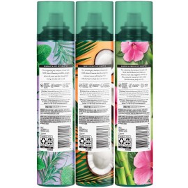 Suave+ Dry Shampoo Spray Variety 3-Pack – Invigorating Rosemary & Mint, Volum...
