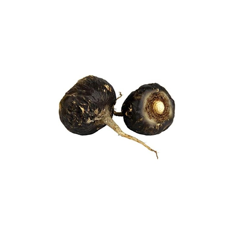 SABIA MADRE TIERRA - Maca Negra Peruana 250g - ORGANICA