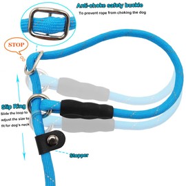BTINESFUL 10FT / 15FT / 20FT Slip Lead Dog Leash, Reflective 1/3” Rope Leash Long Training Lead for Small Medium Dogs (20ft, Blue)
