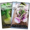 Sow Right Seeds - Collection of Turnip Seeds for Planting