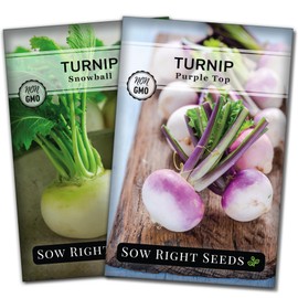 Sow Right Seeds - Collection of Turnip Seeds for Planting - Non-GMO Heirloom Packet with Instructions to Plant & Grow an Outdoor Home Vegetable Garden - 2 Varieties Include Purple Top & Snowball