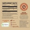 Earth Fed Muscle Transcend Creatine Monohydrate - 300g