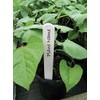 W0860 Garland 10cm (4") Plant Labels (50) (White)