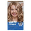 Clairol Lasting Colour Permanent Hair Dye | Perfect Grey Coverage