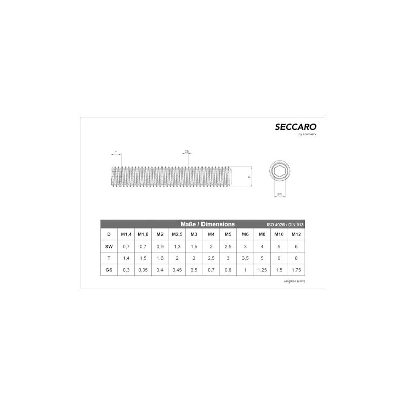 SECCARO 20 Pcs M10 x 60mm Stainless Steel V2A VA