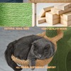 Athena Collection Small Cat Tree Tower with Scratching Post, 42