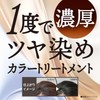 Salon de Pro Hair Dye Dressy Color Treatment, Ash Black,