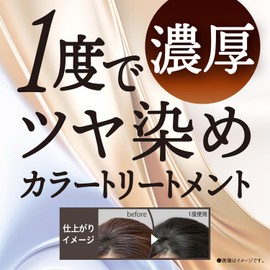 Salon de Pro Hair Dye Dressy Color Treatment, Ash Black, 8.1 oz (230 g)