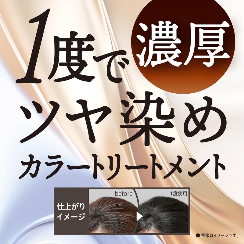 Salon de Pro Hair Dye Dressy Color Treatment, Ash Black,