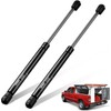 Vepagoo C16-09209 16 inch 38 Lbs/169 N Gas Shocks Struts