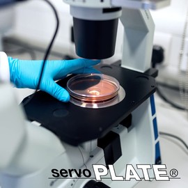 Servoplate Nährböden – Sabouraud 2% Glucose Agar, Platten für Labor-Petrischalen, Zur Kultivierung von Mikro-Organismen, steril eingesiegelt – 20 Stück