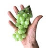 SENYON Food Sample Grapes Fruit Display Model Set of 3