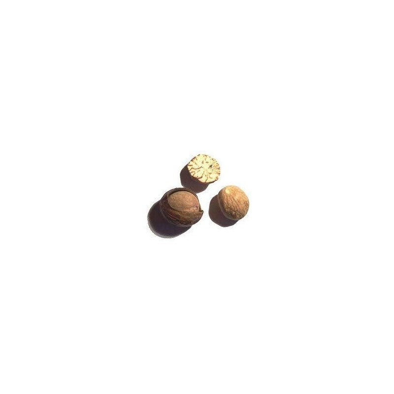 Nutmeg | Nutmegs Whole Dried Grade A Premium Quality 100g