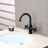 Derengge Matte Black Bathroom Sink Faucet,2 Handle Single Hole Vanity