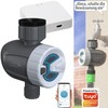Royal Gardineer WLAN Valve: Smart Programmable Irrigation Computer with WiFi