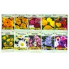 Set of 50 Flower Seed Packets! Flower Seeds in Bulk,