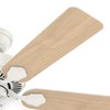 Hunter Fan 44 inch Traditional Fresh White Indoor Ceiling Fan
