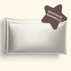 Amqua Mako Satin Cushion Cover, Set of 2, Cushion Covers,