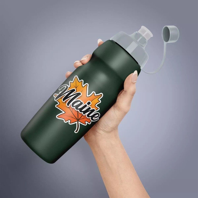 RetroPlanet Maine Autumn Leaf Die Cut Vinyl Sticker