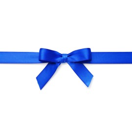 IHKFILAN Double Face Satin Ribbon 1Inchx25Yards Double Sided Solid Polyester Ribbon for Gift Wrapping Party Hair Braids Bow Shower Decoration Floral Arrangement Craft Supplies (Royal)