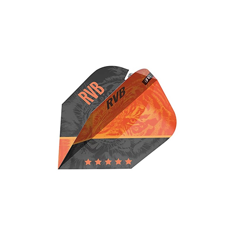 Target Darts Unisex's Raymond Van Barneveld RVB Gen 4 Pro