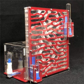 19.5 * 15 * 22cm Large Viewing Area - Care for Live Ants,moisturing arylic ant Habitat for STEM Learning (Green)