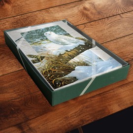 Pumpernickel Press Embossed Christmas Greeting Cards Boxed Set – “Snowy Owl” Design by Jerry Gadamus – 16 Deluxe Cards with Envelopes, Eco-Friendly, Made in the USA, Multi-Level Embossing, Winter Forest Scene