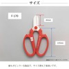 Sakagen 66142 Fresh Flower Shears, Hand Creation, F170, Black Fluorine